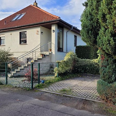 Idyllische Stadtrand-Fewo Leipzig Exterior foto